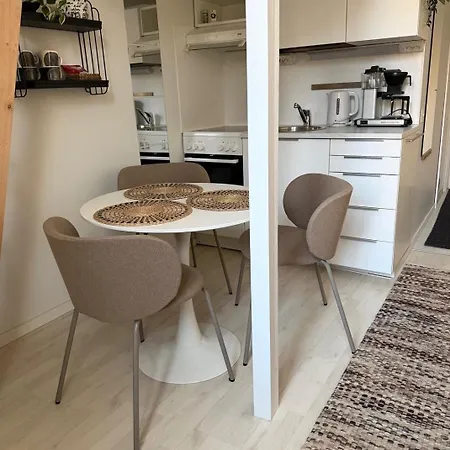 Apartment Hakaniemi Gem - Bright Loft Helsinki